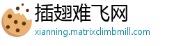 插翅难飞网
